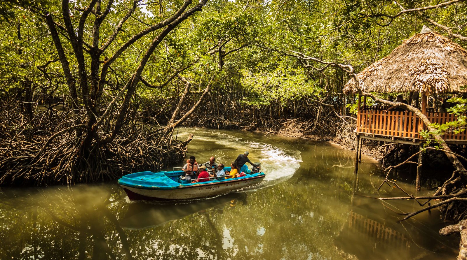 Andaman Mangroves Holidays